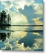 Reflected Bliss Metal Print