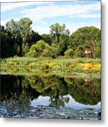 Reflecting On A Summer Morning Metal Print