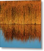 Reflection Metal Print