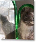 Reflection Of A Cat Metal Print