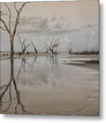 Reflection Of A Dead Tree Metal Print