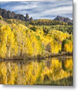 Reflection With Ophir Needles I Metal Print