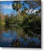 Reflections In The Tropics Oil Painting Metal Print