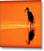 Reflections Of A Heron Metal Print