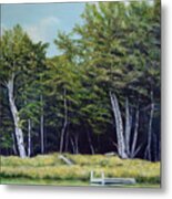 Reflections Of Birches Metal Print