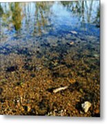 Reflections Of Nature Metal Print
