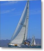 Regatta 1 Metal Print