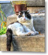 Relaxing On The Stairs Metal Print