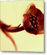 Repose Metal Print