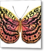 Resplendent Forester Butterfly Metal Print