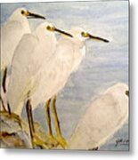 Resting Egrets Metal Print