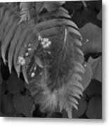 Resting Feather Metal Print