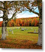 Resting Place Metal Print