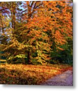 Resting Place In An Autumn Park Metal Print