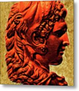 Reverse Profile Of Alexander Metal Print