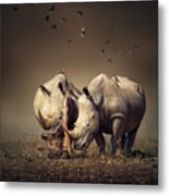 Rhino's With Birds Metal Print