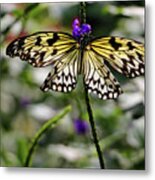 Rice Paper Butterfly Metal Print