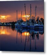 Rich And Vibrant Bayou Sunset Metal Print