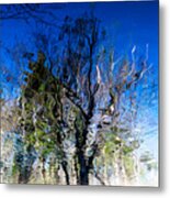 Rippled Reflection Metal Print