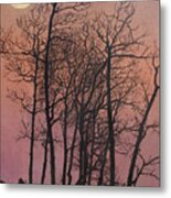 Rising Of The Moon Metal Print