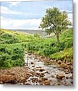River And Stream In Weardale Metal Print