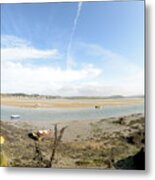 River Camel Metal Print