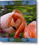 River Flamingos Metal Print