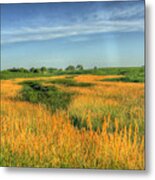 River Of Grass Metal Print