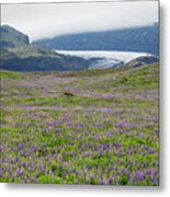 River Of Ice And River Of Purple Flowers Metal Print