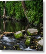 River Tolka Metal Print