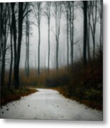 Road In The Fog 07/11/17 Metal Print