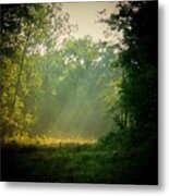 Road Less Traveled Metal Print