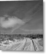 Road To... Metal Print