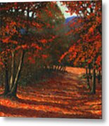 Road To The Clearing Metal Print