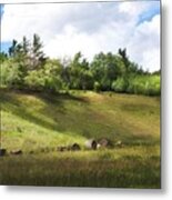 Roadside Hill Metal Print