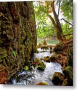 Roaring Spring Metal Print