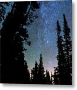 Rocky Mountain Forest Night Metal Print
