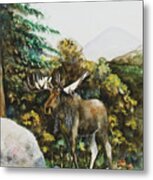 Rocky Mountain Moose Metal Print