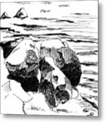 Rocky Shore Metal Print