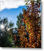 Rogue Valley Autumn Afternoon Metal Print