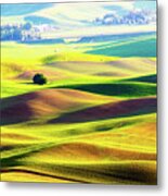 Rolling Wheat Field - Palouse Metal Print