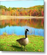 Romantic Skies Autumn Pond Goose Metal Print