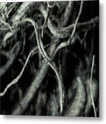 Roots Series #1 Metal Print