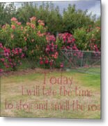 Rose Garden Metal Print