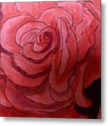 Rose Macro Metal Print