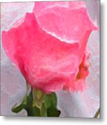 Rose Of Pink Three Metal Print