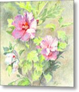 Rose Of Sharon Metal Print