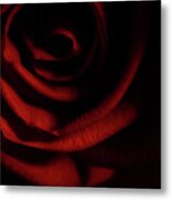 Rose Series 3 Red Metal Print