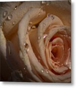 Rosebud Metal Print