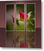 Rosebud Reflection Poster Metal Print